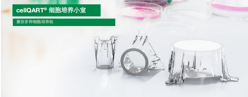 1629428452415971.png 1.png