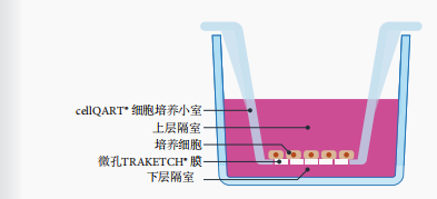 1629428517939985.png 2.png