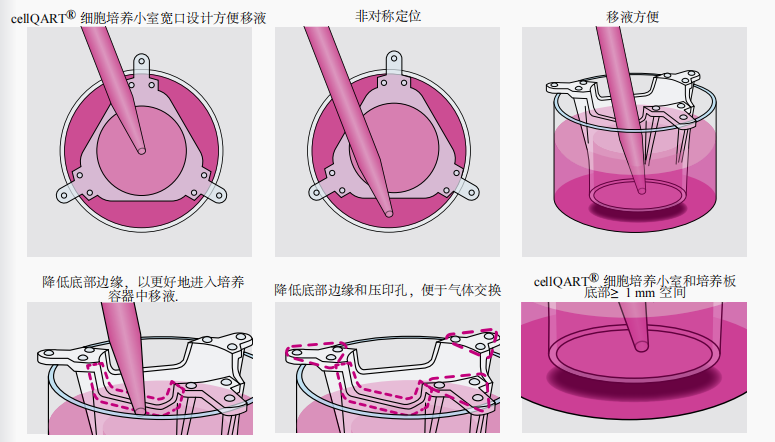 1629428561320211.png 4.png