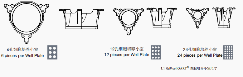 1629428689666146.png 7.png